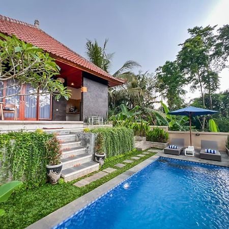Aris House Private Pool Villa Ubud Kültér fotó